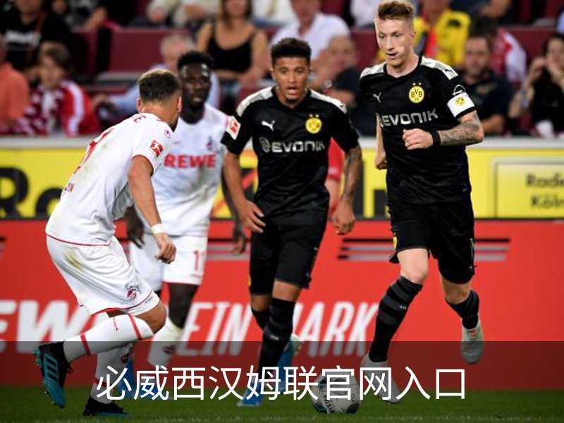 了解必威西汉姆联官网入口